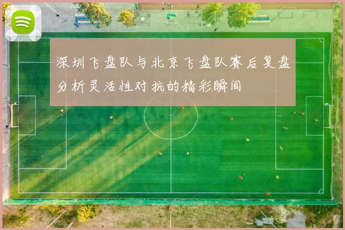 深圳飞盘队与北京飞盘队赛后复盘分析灵活性对抗的精彩瞬间