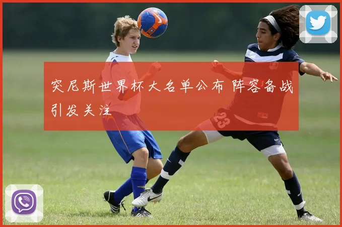 突尼斯世界杯大名单公布 阵容备战引发关注