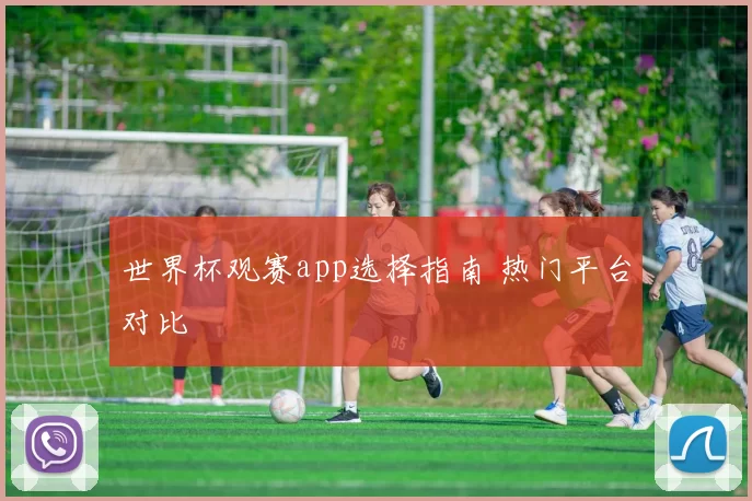 世界杯观赛app选择指南 热门平台对比