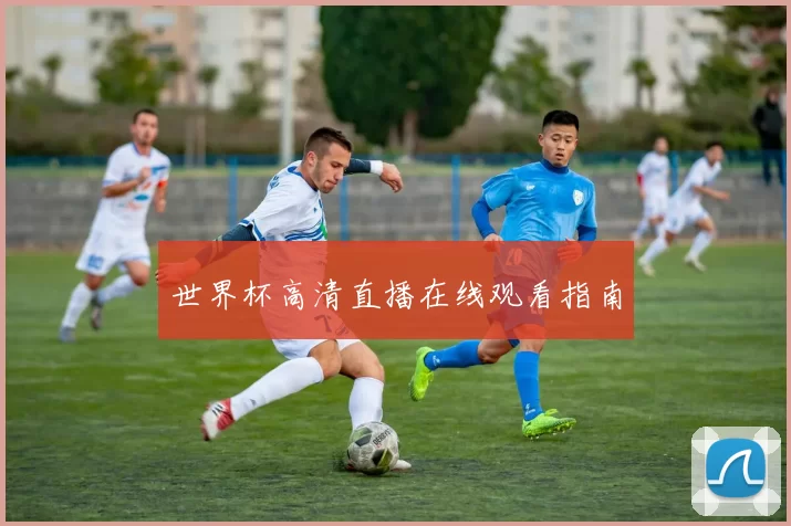 世界杯高清直播在线观看指南
