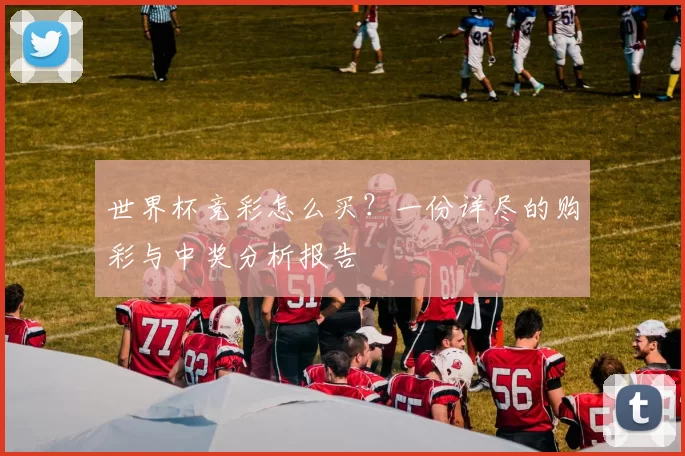 世界杯竞彩怎么买?一份详尽的购彩与中奖分析报告