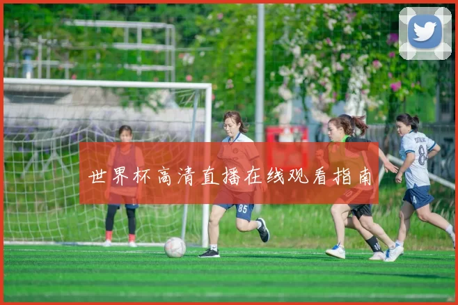 世界杯高清直播在线观看指南