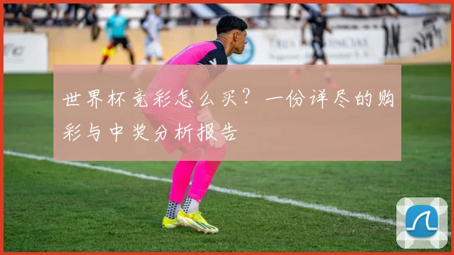 世界杯竞彩怎么买?一份详尽的购彩与中奖分析报告