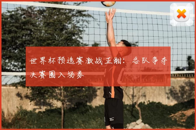世界杯预选赛激战正酣：各队争夺决赛圈入场券