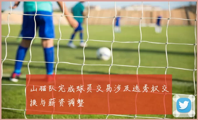 山猫队完成球员交易涉及选秀权交换与薪资调整
