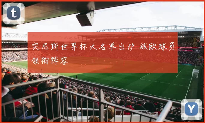 突尼斯世界杯大名单出炉 旅欧球员领衔阵容