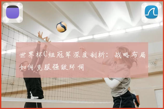 世界杯C组冠军深度剖析：战略布局如何克服强敌环伺