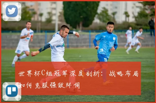 世界杯C组冠军深度剖析:战略布局如何克服强敌环伺