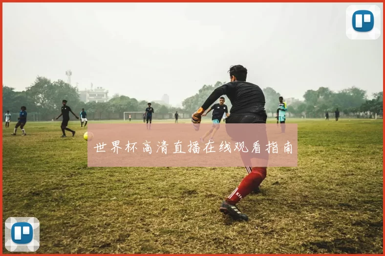 世界杯高清直播在线观看指南