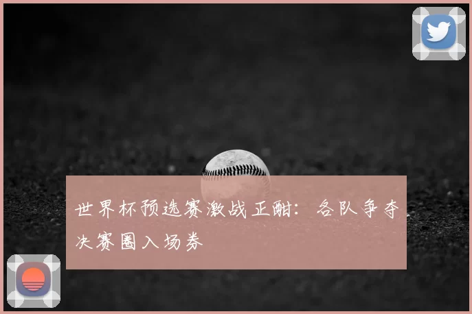 世界杯预选赛激战正酣：各队争夺决赛圈入场券