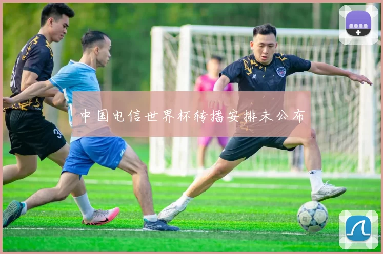 中国电信世界杯转播安排未公布
