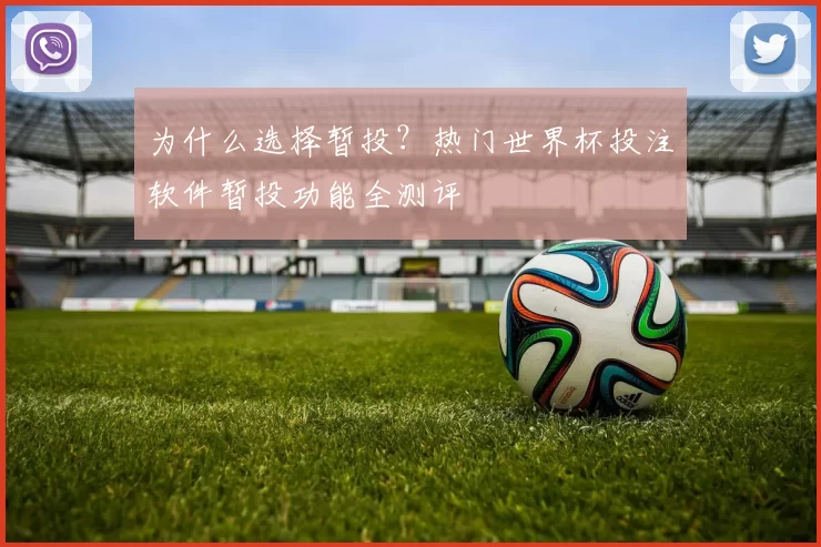 为什么选择暂投?热门世界杯投注软件暂投功能全测评