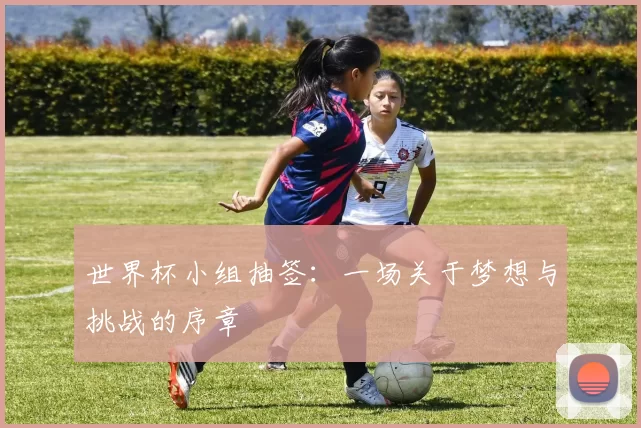 世界杯小组抽签:一场关于梦想与挑战的序章