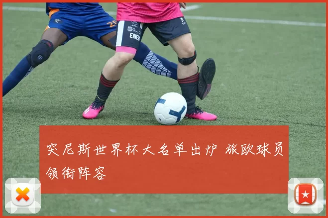 突尼斯世界杯大名单出炉 旅欧球员领衔阵容